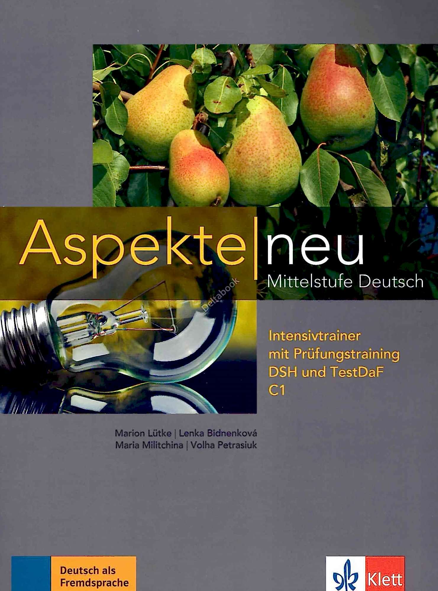 Aspekte Neu С1